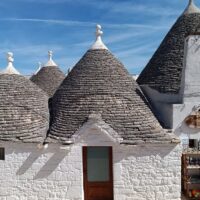 Day Trips & Excursions
