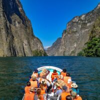 Luxury Tours