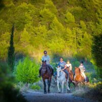 Horseback Riding