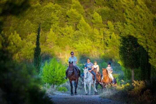 Horseback Riding in Konavle Region with Transport from Dubrovnik