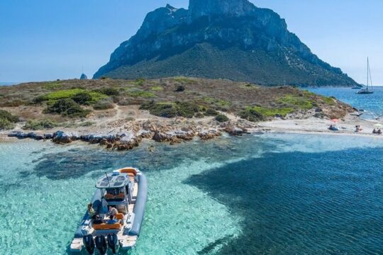 8 Hour Boat Tour in the Marine Protected Area of Tavolara Molara