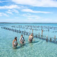 Cultural & Theme Tours