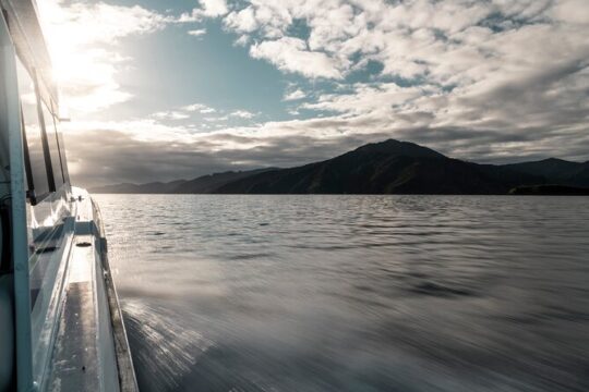 3.5 Hour Marlborough Sounds Delivery Cruise
