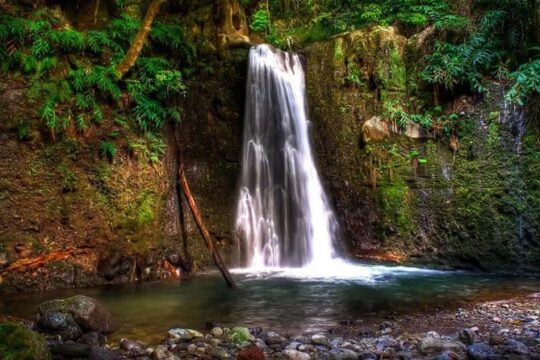 Full Day Hiking Faial da Terra (Min. 2 persons)