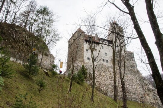 Day Trip Bear Sanctuary, Bran Castle, Rasnov Fortress from Brasov