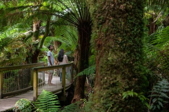 Great Ocean Road Grampians 3 Day National Park Tour Melbourne Roundtrip
