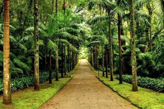 Private Guided Tour and Thermal Baths in São Miguel