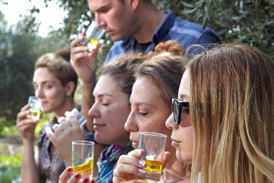 Bio Farm Private Olive Oil Tasting, Farm to Fork Meal & Temple of Poseidon Tour