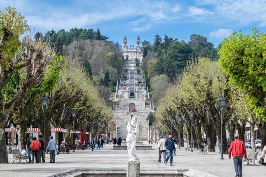 Transfer to Lamego from Lisbon