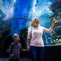 Zoo Tickets & Passes