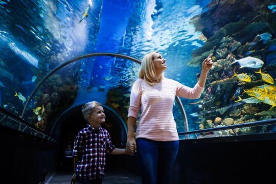 Skip the Line: Antalya Aquarium Ticket