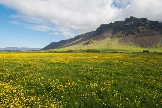 Reykjanes peninsula
