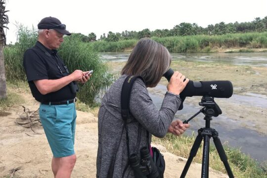 Half-Day Bird Watching Endemics Activity in Los Cabos