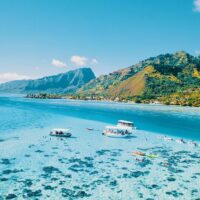 Tours & Sightseeing