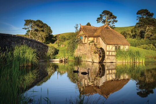 Rotorua to Auckland via Hobbiton Movie Set and Waitomo Caves OneWay Private Tour