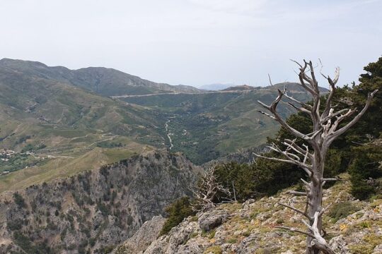 Rethymno Land Rover Safari with Lunch and Drinks