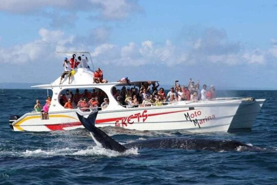 Full Day Excursion to Samaná from Punta Cana