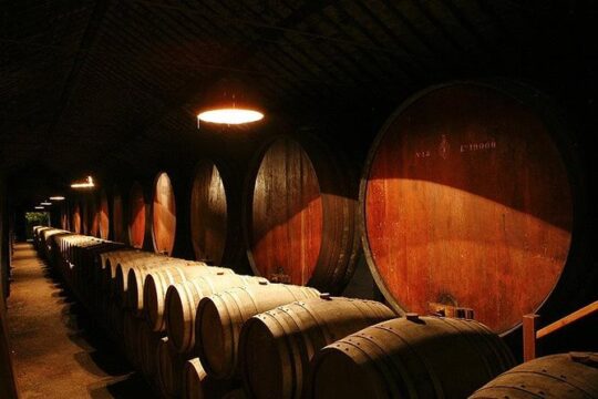 Wine Tasting - Private Half-Day Tour