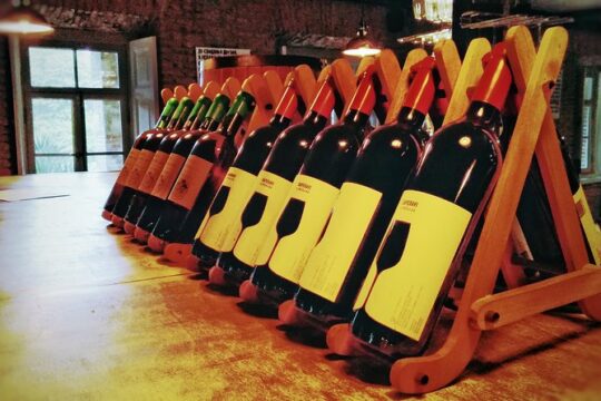 A day tour to Kakheti region/wine/culture/history and gastro tour