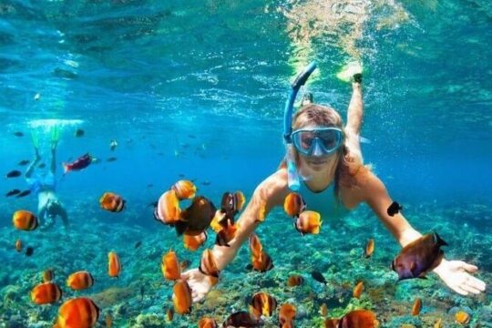 Snorkel and Private Tour in Montego Bay