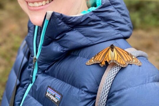 Monarch Butterfly Tour Mexico: Sierra Chuincua and Magic Town