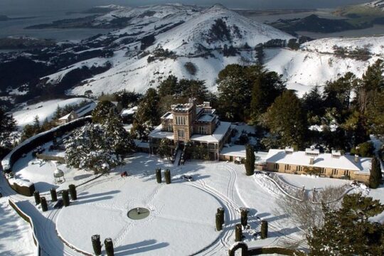 Larnach Castle & Gardens Tour from Dunedin winter