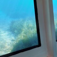 Glass Bottom Boat Tours
