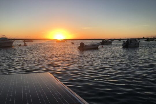 Sunset Boat Trip of Ria Formosa: an Eco-friendly Tour out from Faro