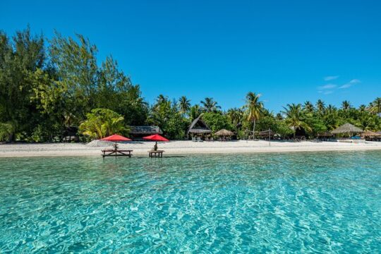 Bora Bora Fullday ATV & Motu FANFAN combo with Polynesian Meal