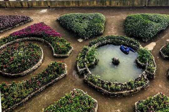 Positano, Amalfi and Ravello by Mercedes Van From Salerno