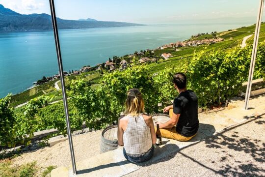 Private Tour to Gruyères, Chocolate & Cheese Factory from Geneva