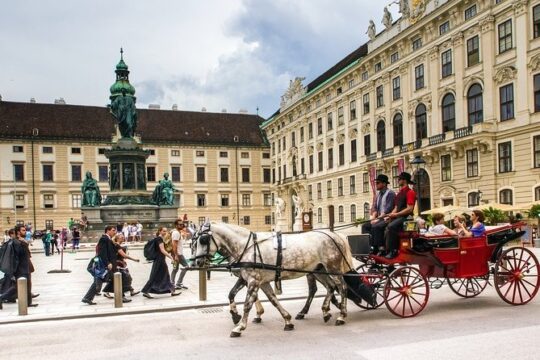 Private cruise ship special full day in Vienna