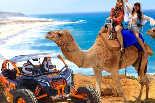 Combo Camel Beach Ride and UTV 4X4 Cabo Adventure, Tequila &