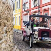 Private & Custom Tours