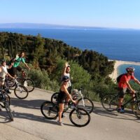 Tours & Sightseeing