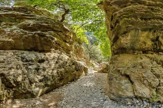 Imbros Gorge Hiking from Chania