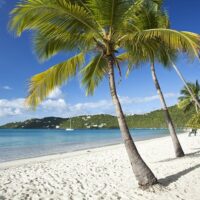 Day Trips & Excursions
