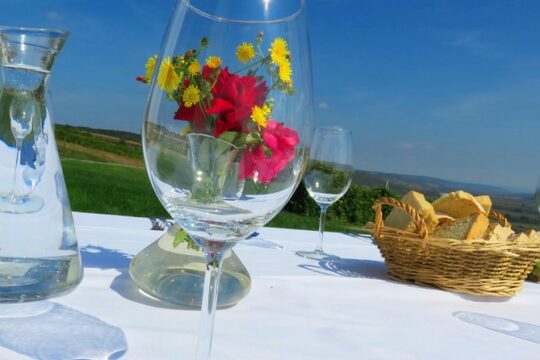 The wine route by bike - two day trip