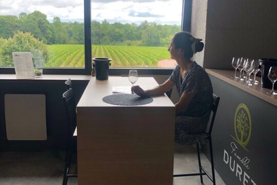 Visit of the Domaine, tasting and Wine courses near Nantes