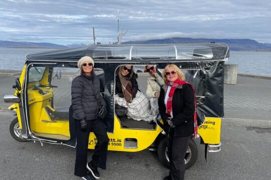 Private Reykjavík TukTuk Tour