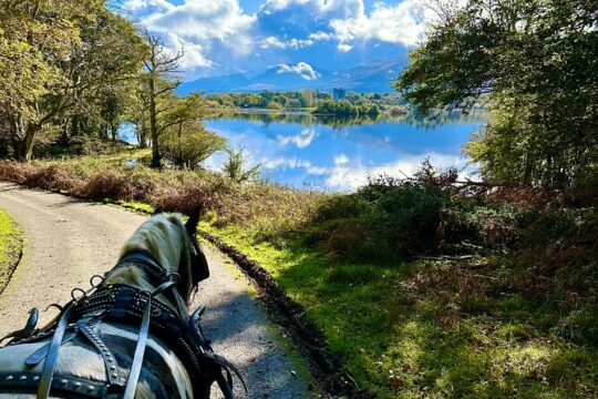 Killarney National Park Tour