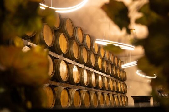 Lisbon Luxury Tagus Wine Tour Experience