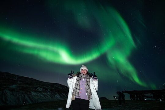 Small Bus Northern Lights Tour from Reykjavik @ 9:30 pm