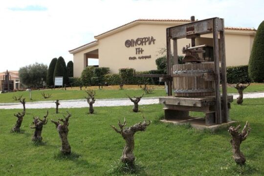 Off road experience at the roads of wine