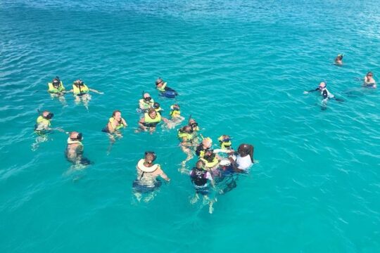 Barbados Turtle and Shipwreck Snorkel Adventure