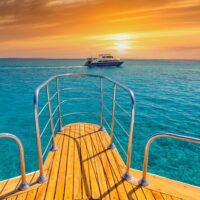 Day Cruises