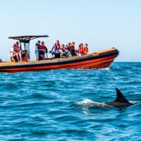 Cruises, Sailing & Water Tours