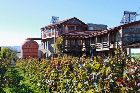 Kakheti Wine Tour and Sightseeing