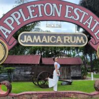 Wine Tasting & Winery Tours