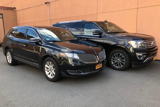 Private Arrival Transfer from Minneapolis Airport MSP